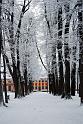 2011-01-24, Schnee (8)